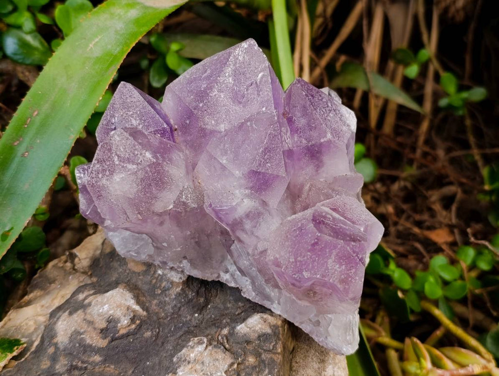 Natural Jacaranda Amethyst Quartz Crystals x 2 From Mumbwa, Zambia - Toprock Gemstones and Minerals 