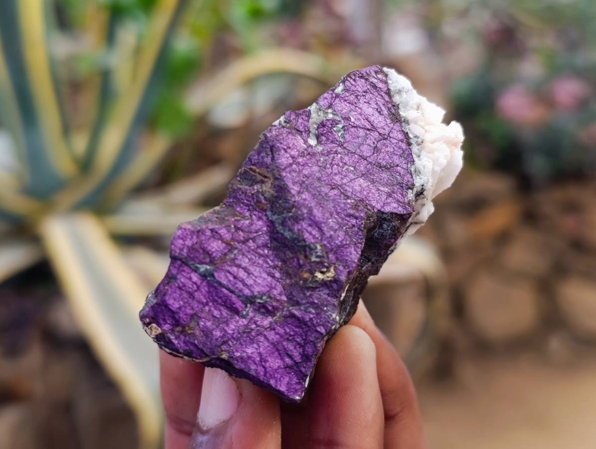 Natural Metallic Purpurite Specimens x 20 From Erongo, Namibia - Toprock Gemstones and Minerals 