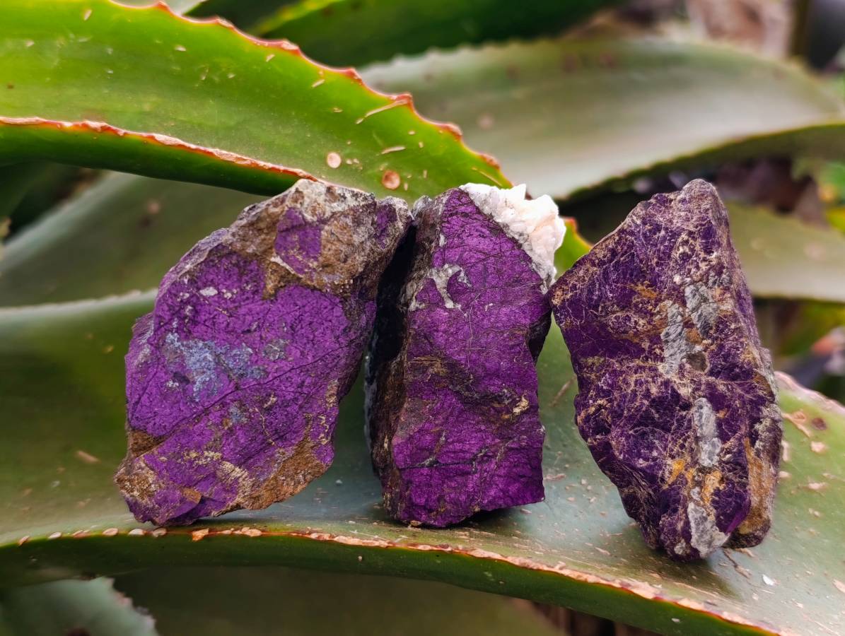 Natural Metallic Purpurite Specimens x 20 From Erongo, Namibia - Toprock Gemstones and Minerals 