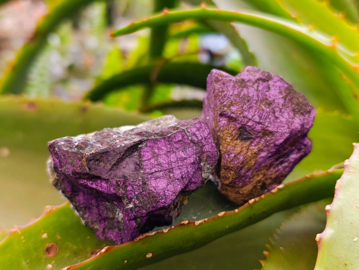 Natural Metallic Purpurite Specimens x 20 From Erongo, Namibia - Toprock Gemstones and Minerals 