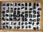 Natural Schorl Black Tourmaline Specimens x 70 From Zimbabwe - Toprock Gemstones and Minerals 