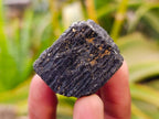 Natural Schorl Black Tourmaline Specimens x 70 From Zimbabwe - Toprock Gemstones and Minerals 