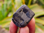 Natural Schorl Black Tourmaline Specimens x 70 From Zimbabwe - Toprock Gemstones and Minerals 