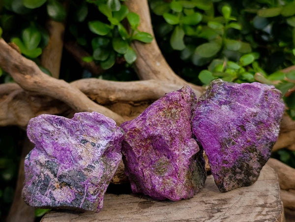 Natural Stichtite Specimens x 24 From Barberton, South Africa - Toprock Gemstones and Minerals 