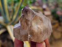 Polished Inclusion Quartz Crystals x 12 From Madagascar - Toprock Gemstones and Minerals 