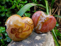 Polished Polychrome Jasper Hearts x 2 From NW Coast, Madagascar - Toprock Gemstones and Minerals 