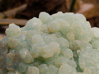 Natural Botryoidal Prehnite Specimens x 1 From Beaufort West, South Africa - Toprock Gemstones and Minerals 
