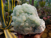 Natural Botryoidal Prehnite Specimens x 1 From Beaufort West, South Africa - Toprock Gemstones and Minerals 