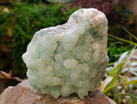 Natural Botryoidal Prehnite Specimens x 1 From Beaufort West, South Africa - Toprock Gemstones and Minerals 