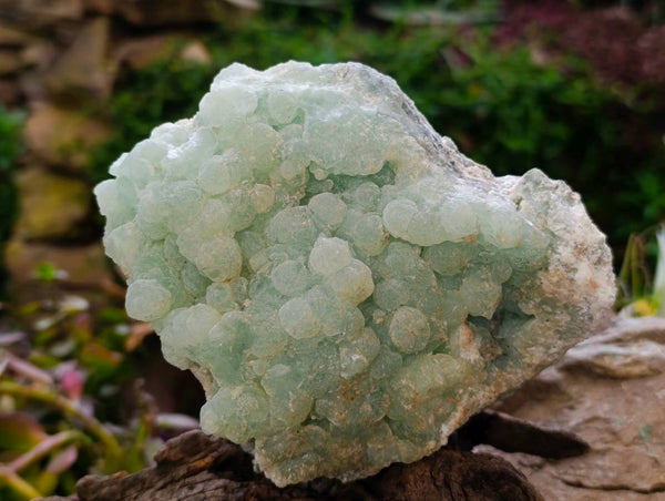 Natural Botryoidal Prehnite Specimens x 1 From Beaufort West, South Africa - Toprock Gemstones and Minerals 