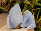 Natural Etched Blue Chalcedony Geodes x 6 From Nsanje, Malawi - Toprock Gemstones and Minerals 