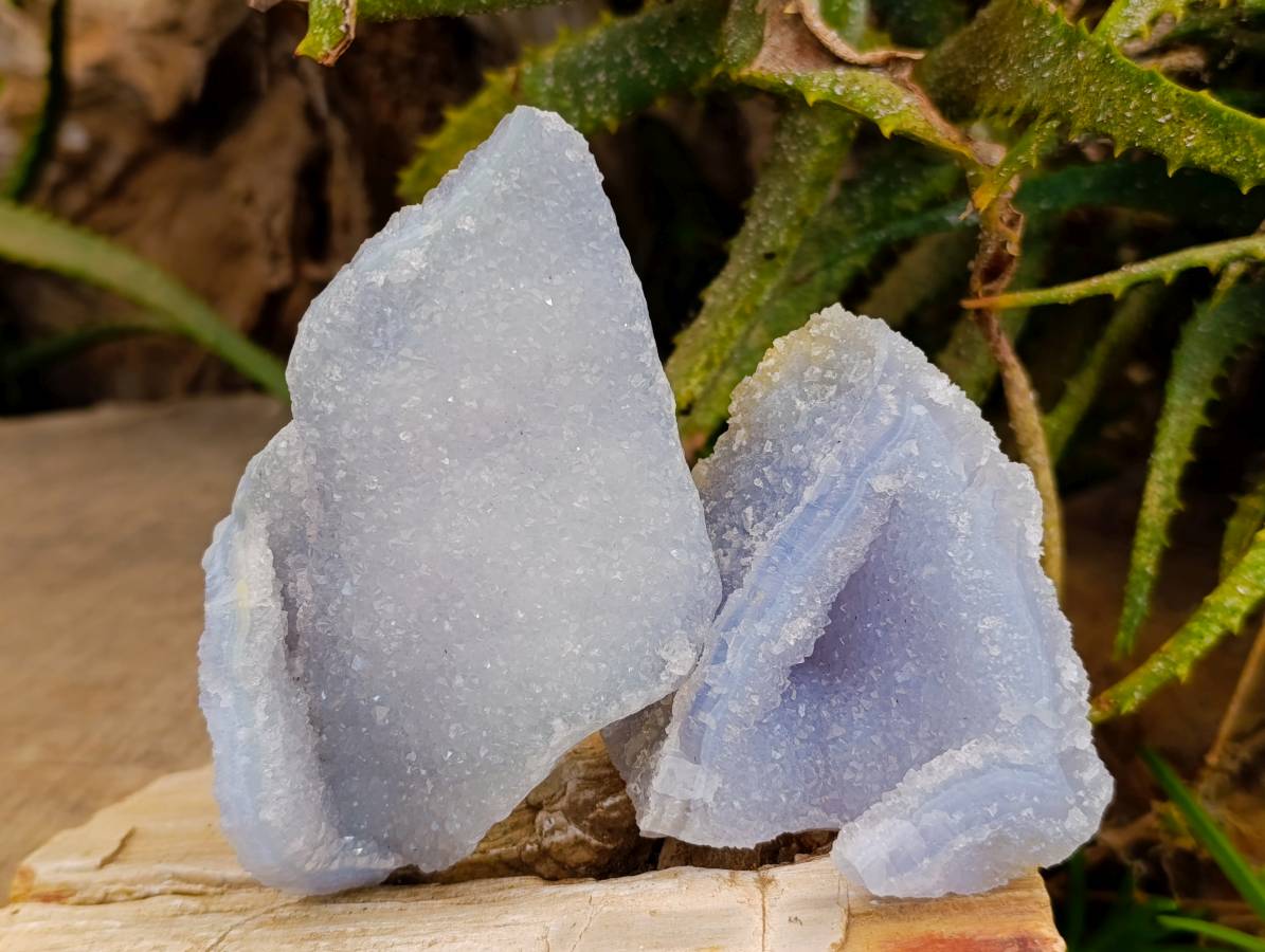 Natural Etched Blue Chalcedony Geodes x 6 From Nsanje, Malawi - Toprock Gemstones and Minerals 