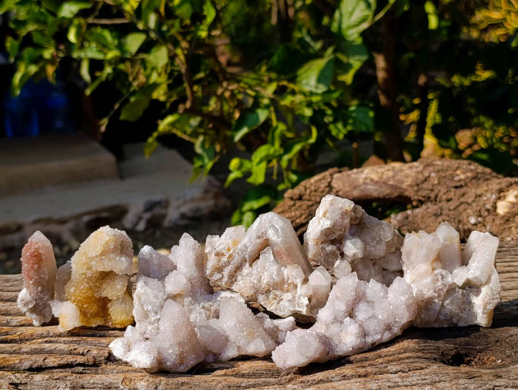 Natural White Spirit Quartz Clusters x 17 From Boekenhouthoek, South Africa - Toprock Gemstones and Minerals 