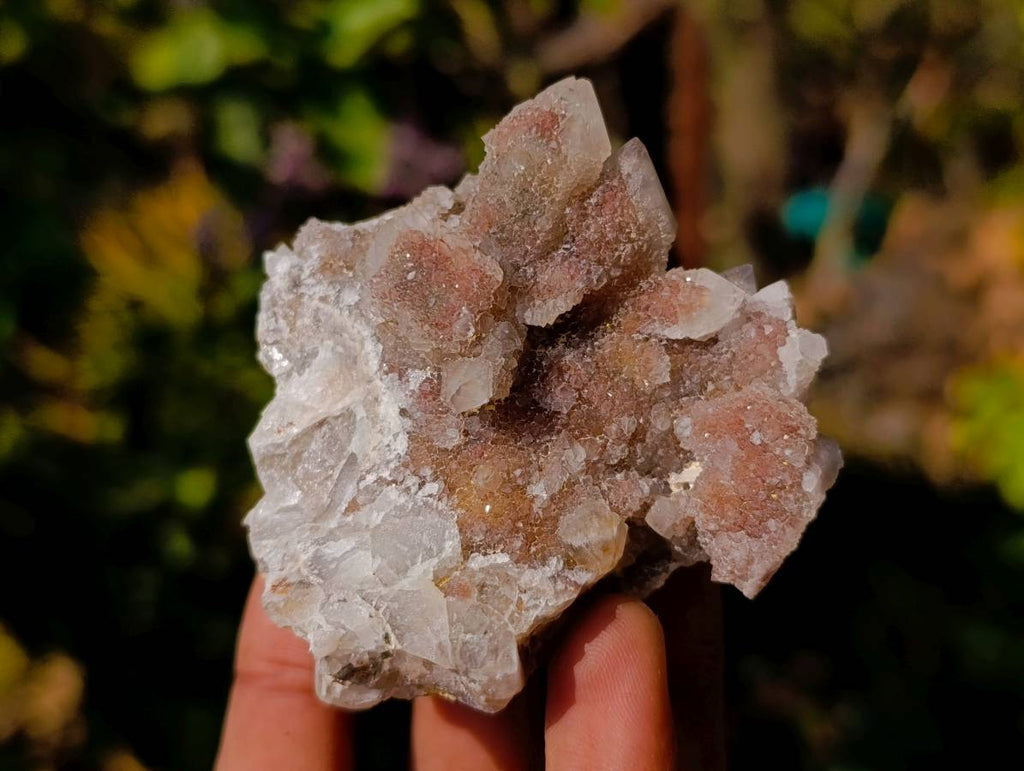 Natural White Spirit Quartz Clusters x 17 From Boekenhouthoek, South Africa - Toprock Gemstones and Minerals 