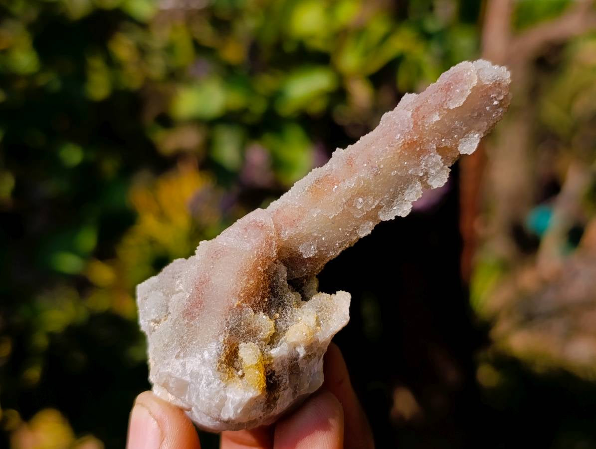 Natural White Spirit Quartz Clusters x 17 From Boekenhouthoek, South Africa - Toprock Gemstones and Minerals 