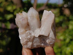 Natural White Spirit Quartz Clusters x 17 From Boekenhouthoek, South Africa - Toprock Gemstones and Minerals 