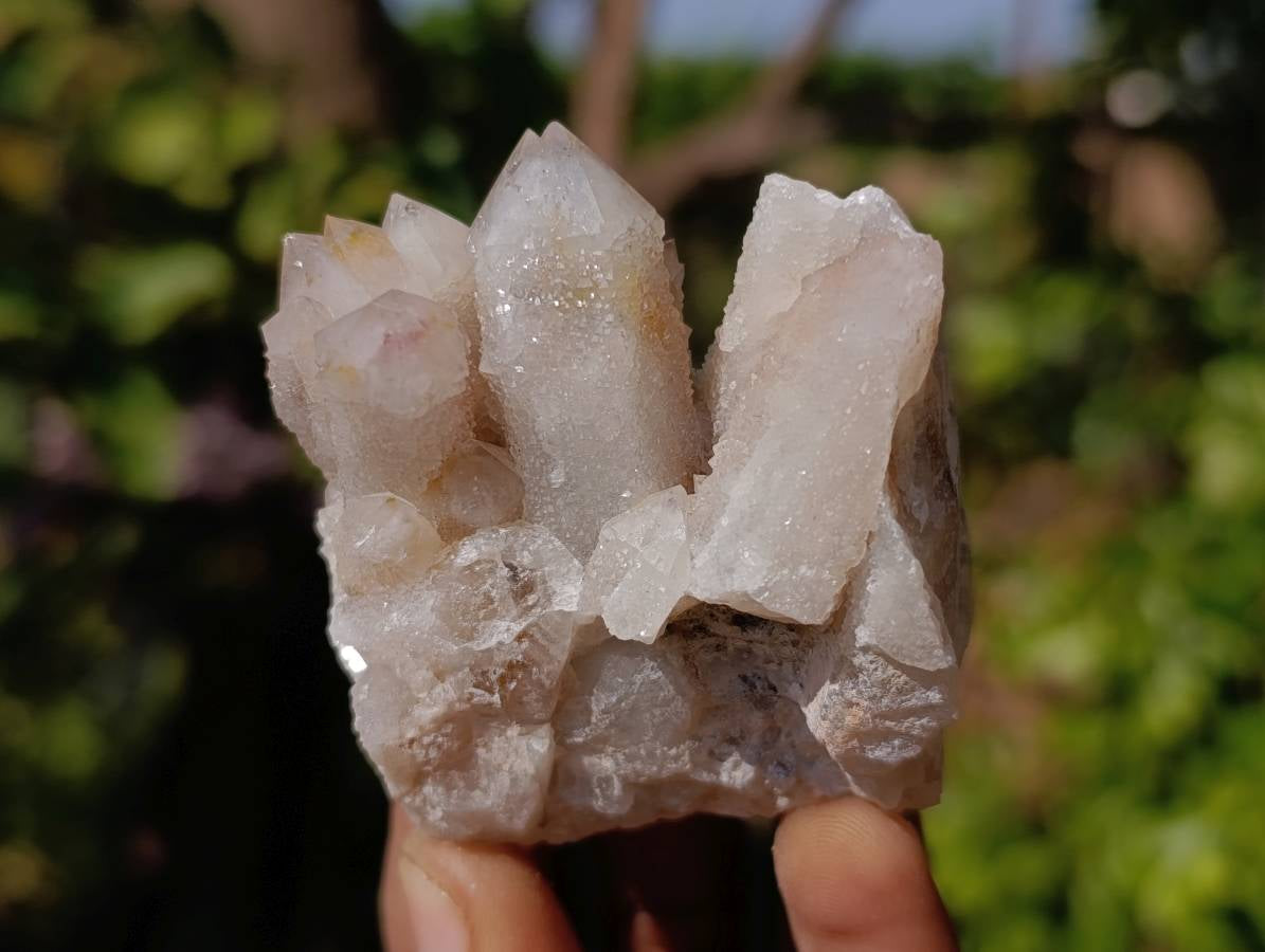 Natural White Spirit Quartz Clusters x 17 From Boekenhouthoek, South Africa - Toprock Gemstones and Minerals 