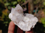 Natural White Spirit Quartz Clusters x 17 From Boekenhouthoek, South Africa - Toprock Gemstones and Minerals 