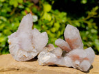 Natural White Spirit Quartz Clusters x 17 From Boekenhouthoek, South Africa - Toprock Gemstones and Minerals 