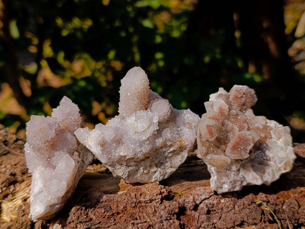 Natural White Spirit Quartz Clusters x 17 From Boekenhouthoek, South Africa - Toprock Gemstones and Minerals 