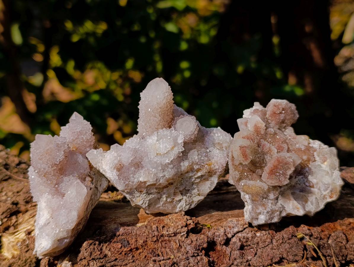 Natural White Spirit Quartz Clusters x 17 From Boekenhouthoek, South Africa - Toprock Gemstones and Minerals 