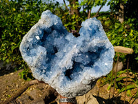 Natural Blue Celestite Specimen x 1 From Sakoany, Madagascar - Toprock Gemstones and Minerals 