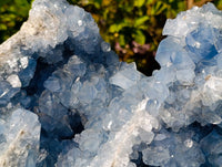 Natural Blue Celestite Specimen x 1 From Sakoany, Madagascar - Toprock Gemstones and Minerals 