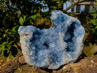 Natural Blue Celestite Specimen x 1 From Sakoany, Madagascar - Toprock Gemstones and Minerals 