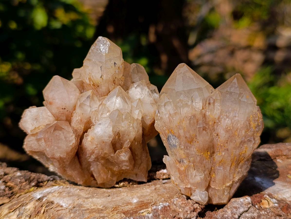 Natural Smokey Phantom Quartz Cluster x 7 From Luena, Congo - Toprock Gemstones and Minerals 