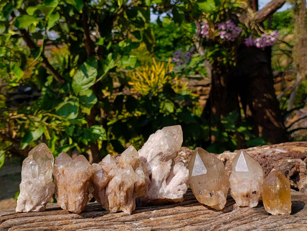 Natural Smokey Phantom Quartz Cluster x 7 From Luena, Congo - Toprock Gemstones and Minerals 