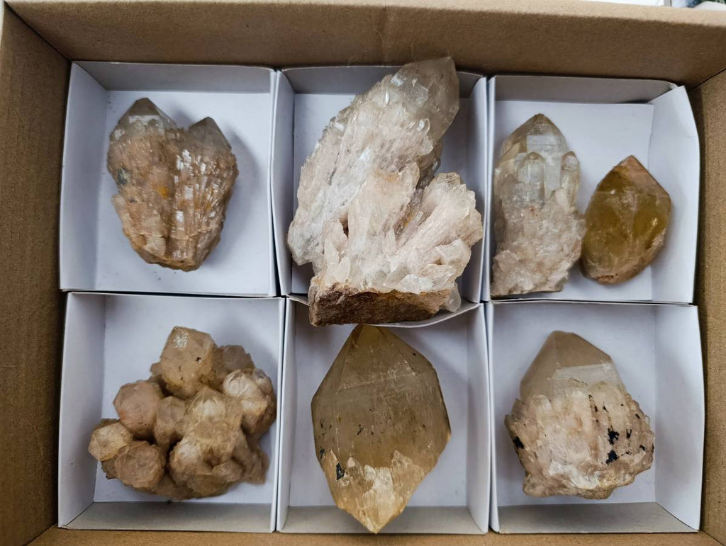 Natural Smokey Phantom Quartz Cluster x 7 From Luena, Congo - Toprock Gemstones and Minerals 