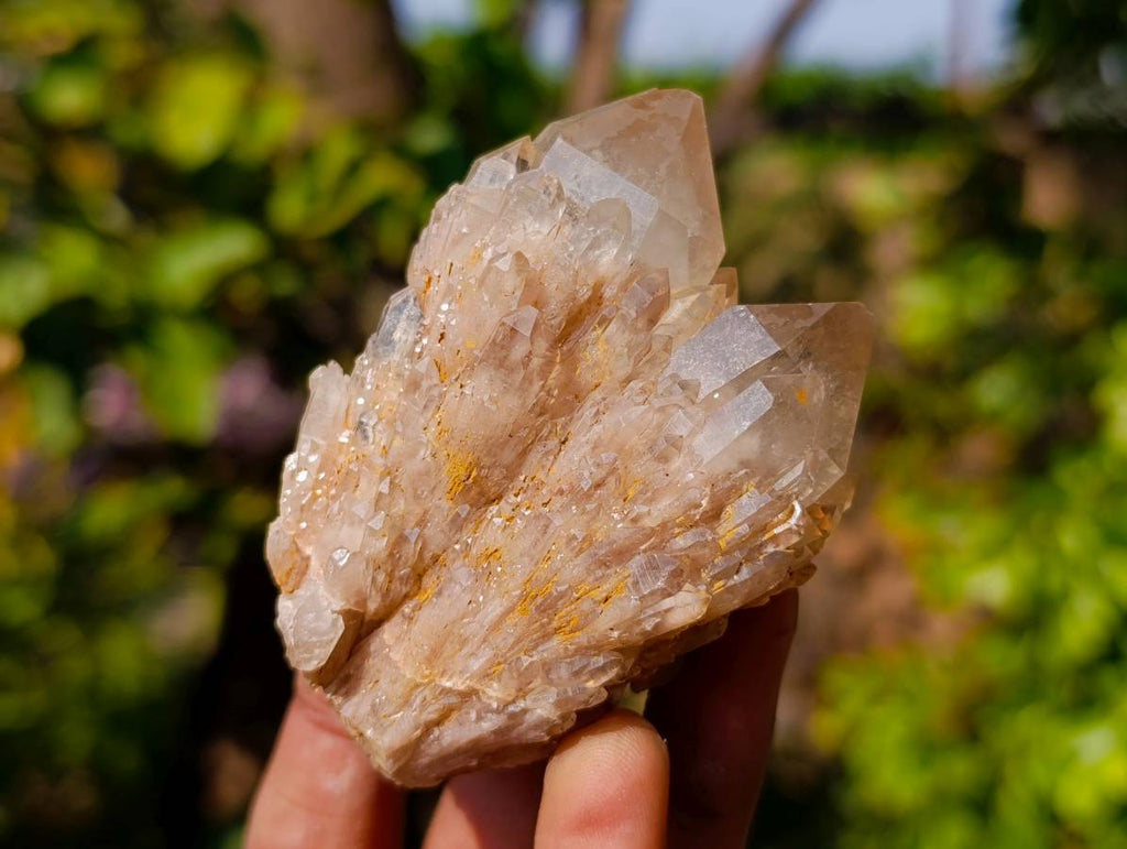 Natural Smokey Phantom Quartz Cluster x 7 From Luena, Congo - Toprock Gemstones and Minerals 