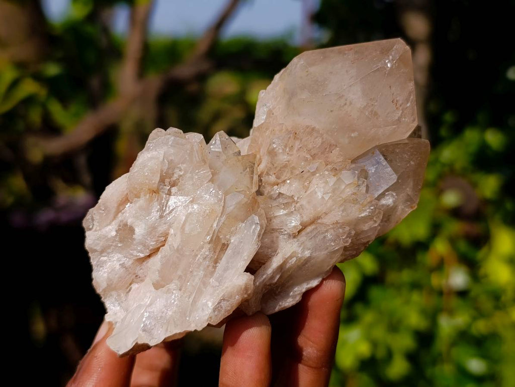 Natural Smokey Phantom Quartz Cluster x 7 From Luena, Congo - Toprock Gemstones and Minerals 