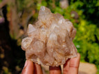Natural Smokey Phantom Quartz Cluster x 7 From Luena, Congo - Toprock Gemstones and Minerals 