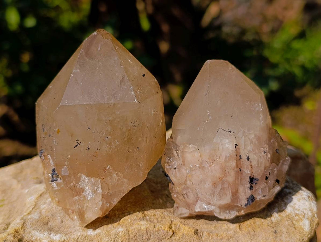 Natural Smokey Phantom Quartz Cluster x 7 From Luena, Congo - Toprock Gemstones and Minerals 