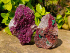 Natural Salrose Cobaltion Dolomite with malachite Specimens x 6 From Kakanda, Congo - Toprock Gemstones and Minerals 