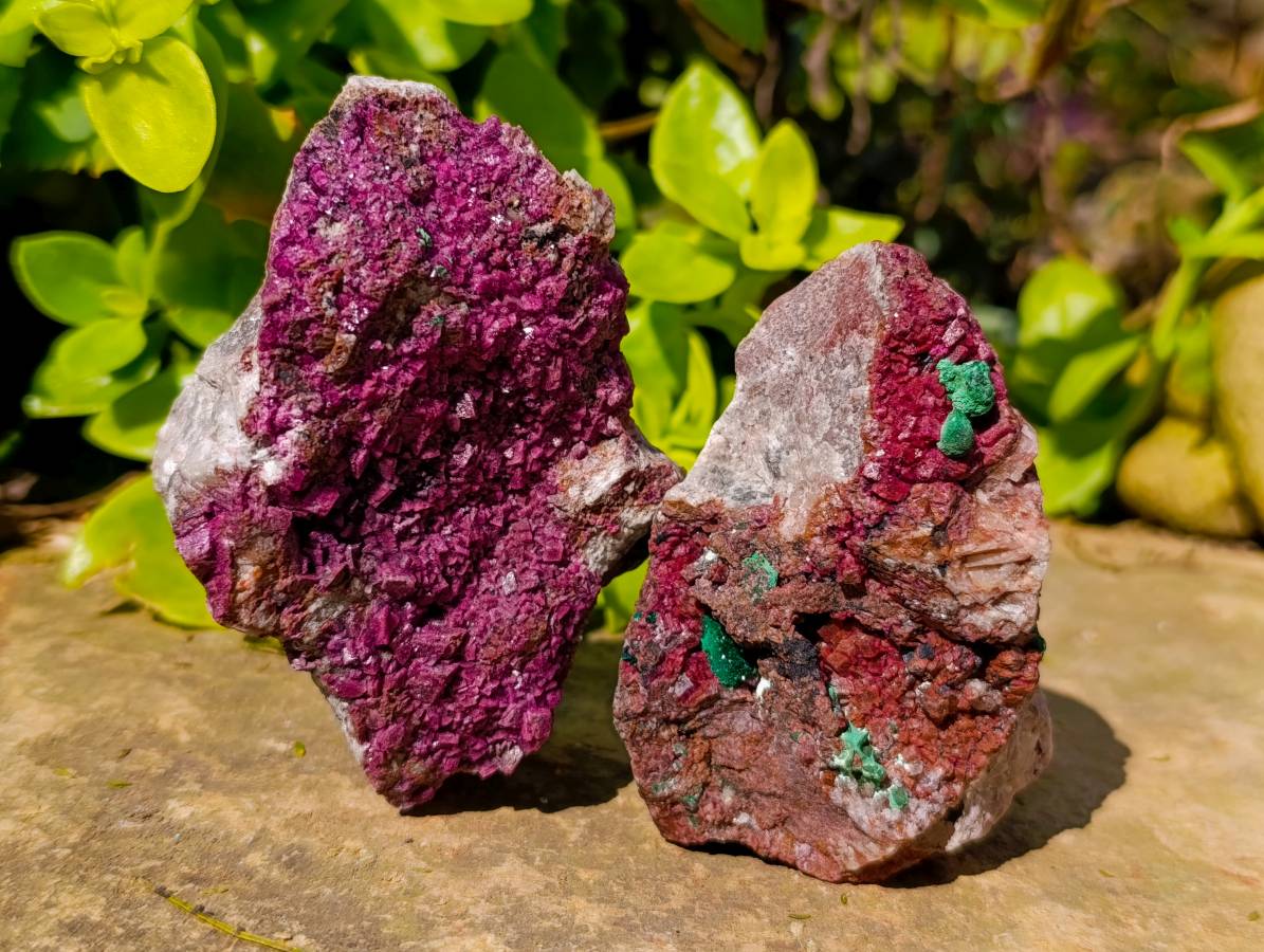 Natural Salrose Cobaltion Dolomite with malachite Specimens x 6 From Kakanda, Congo - Toprock Gemstones and Minerals 