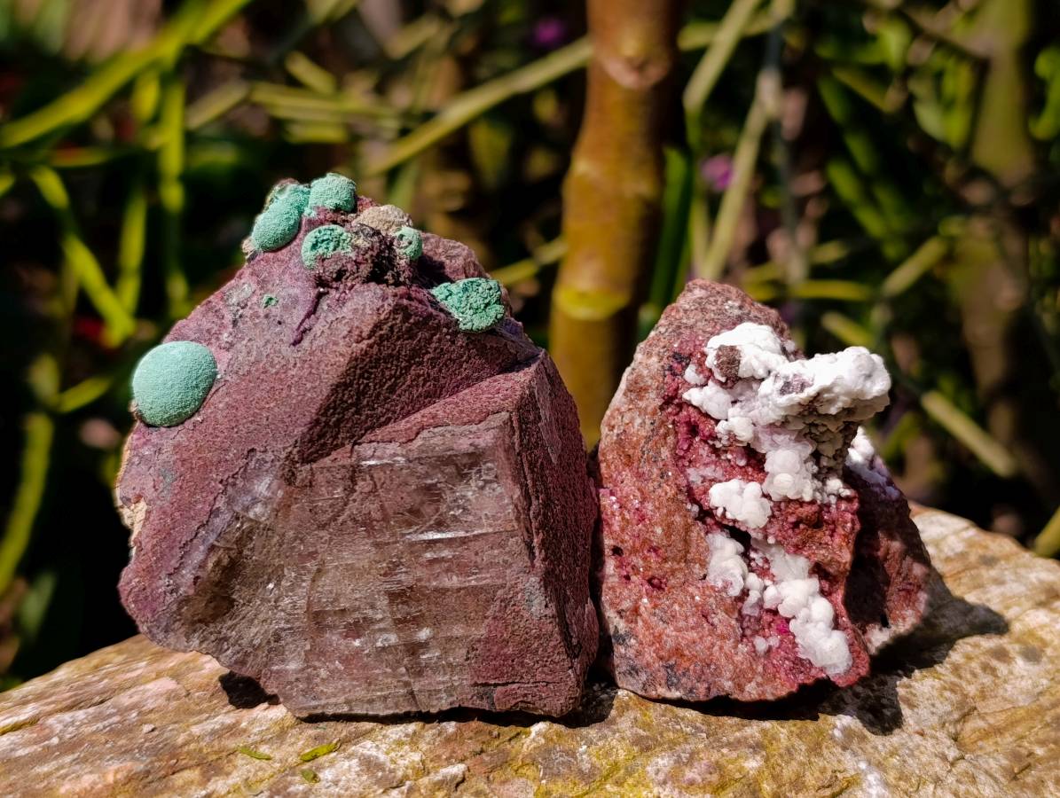 Natural Salrose Cobaltion Dolomite with malachite Specimens x 6 From Kakanda, Congo - Toprock Gemstones and Minerals 