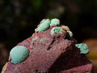 Natural Salrose Cobaltion Dolomite with malachite Specimens x 6 From Kakanda, Congo - Toprock Gemstones and Minerals 