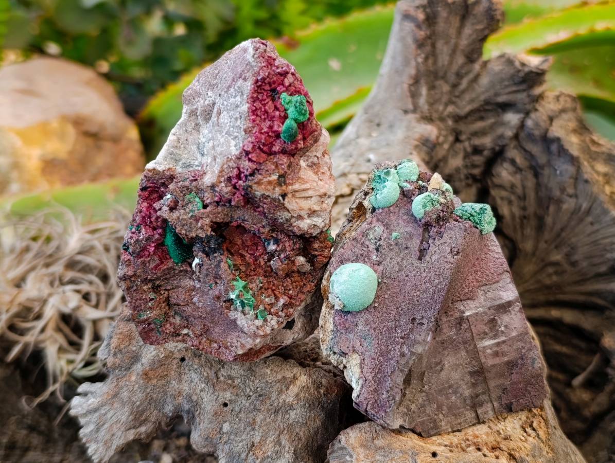 Natural Salrose Cobaltion Dolomite with malachite Specimens x 6 From Kakanda, Congo - Toprock Gemstones and Minerals 