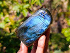 Polished Labradorite Standing Free Forms x 6 From Tulear, Madagascar - Toprock Gemstones and Minerals 