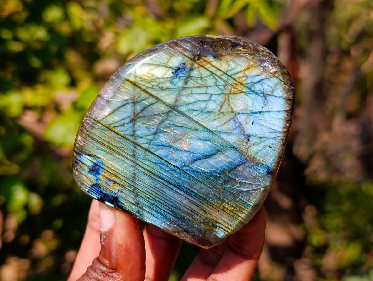 Polished Labradorite Standing Free Forms x 6 From Tulear, Madagascar - Toprock Gemstones and Minerals 