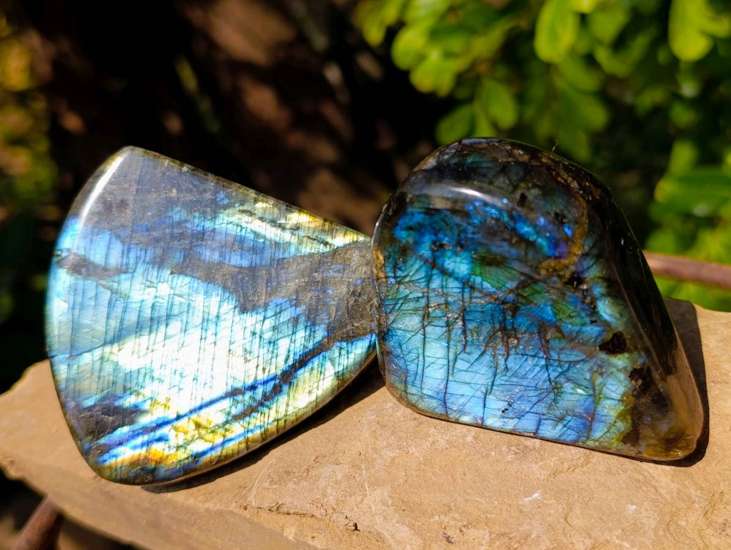 Polished Labradorite Standing Free Forms x 6 From Tulear, Madagascar - Toprock Gemstones and Minerals 