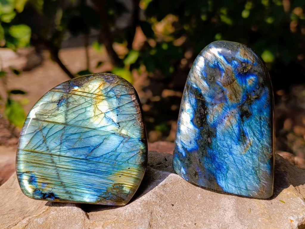 Polished Labradorite Standing Free Forms x 6 From Tulear, Madagascar - Toprock Gemstones and Minerals 