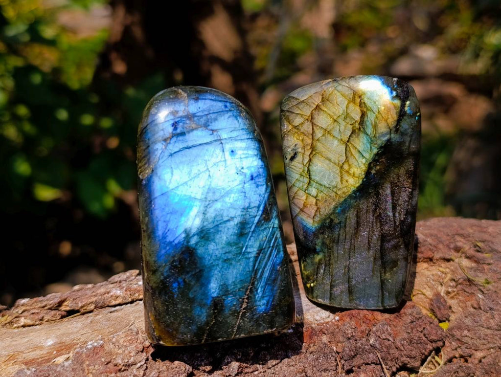 Polished Labradorite Standing Free Forms x 6 From Tulear, Madagascar - Toprock Gemstones and Minerals 