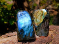 Polished Labradorite Standing Free Forms x 6 From Tulear, Madagascar - Toprock Gemstones and Minerals 