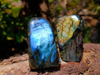 Polished Labradorite Standing Free Forms x 6 From Tulear, Madagascar - Toprock Gemstones and Minerals 