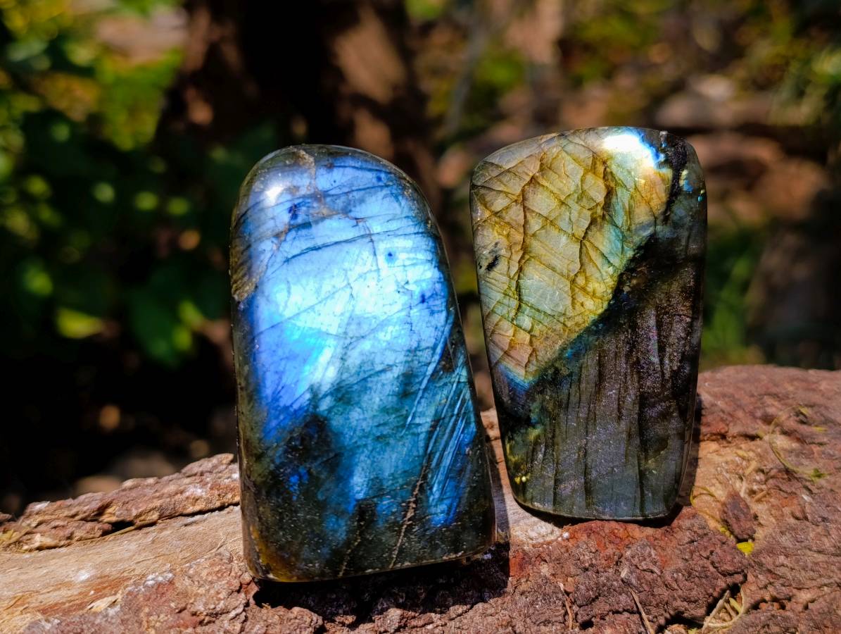 Polished Labradorite Standing Free Forms x 6 From Tulear, Madagascar - Toprock Gemstones and Minerals 