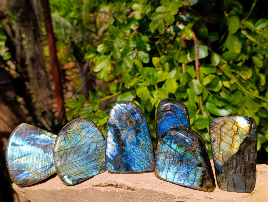 Polished Labradorite Standing Free Forms x 6 From Tulear, Madagascar - Toprock Gemstones and Minerals 