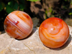Polished Carnelian Agate Gemstone Spheres x 4 From Madagascar - Toprock Gemstones and Minerals 